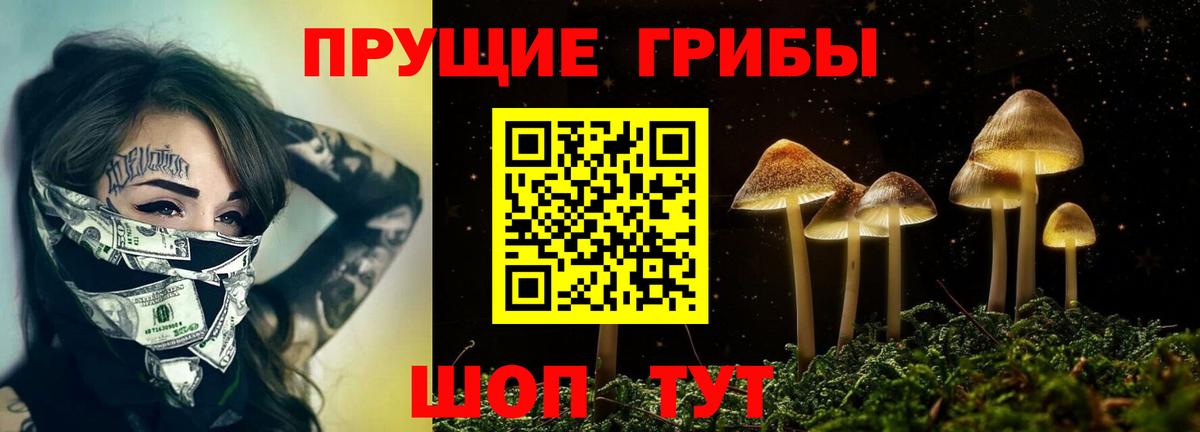Переславль-Залесский  Галлюциногенные грибы Psilocybine cubensis  Галлюциногенные грибы мухоморы  Вход с VPN 