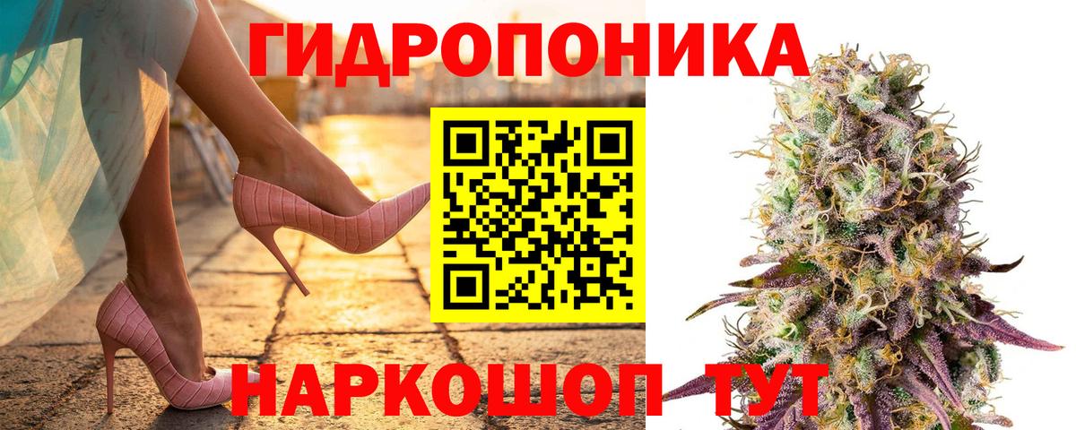 Бошки марихуана VHQ  Бошки Шишки гибрид  Переславль-Залесский  Каннабис сатива 